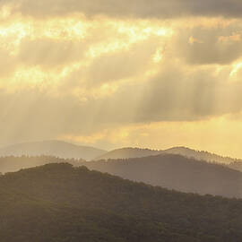 Golden Rays by Bryan Bzdula