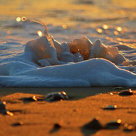 Golden Whisper by Dianne Cowen Cape Cod Photography