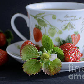 Grandma's Tea Cup by Luv Photography