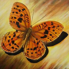 Greek Butterfly by Vivian Casey Fine Art