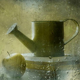Green Day by Delphine Devos