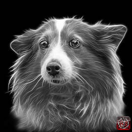 Greyscale Shetland Sheepdog Dog Art 9973 - BB by James Ahn