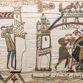 Halleys Comet Of 1066, Bayeux Tapestry by Science Source