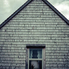 Hand in the window by Edward Fielding