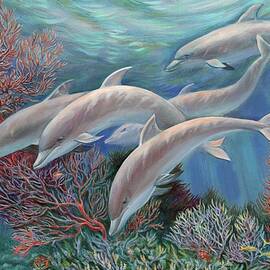 Happy Family - Dolphins Are Awesome