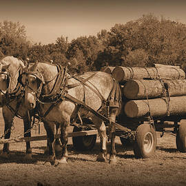 Hardworking Horses