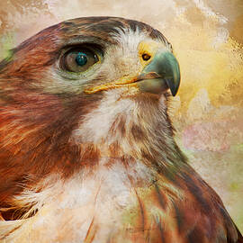 Hawk wc by Joye Ardyn Durham