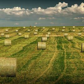 Straw Hay Bales in a Summer Harvest Field in Montana #2 Photograph by  Randall Nyhof - Pixels