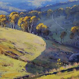 Hillside Shadows Lithgow by Graham Gercken