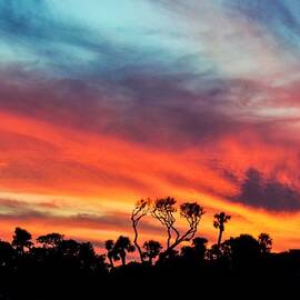 Hilton Head Sunset 2 by Mary Ann Artz