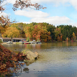 Hinckley Lake by Ann Bridges