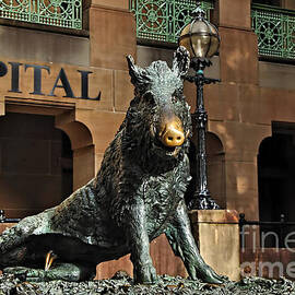 Historic Sydney Hospital - Florentine Boar