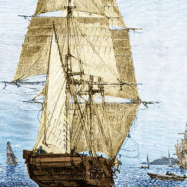 Hms Beagle In Phosphorescent Sea by Science Source