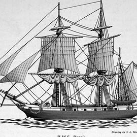 H.m.s. Beagle by Science Source