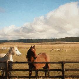Home On The Range ... by Judy Foote-Belleci