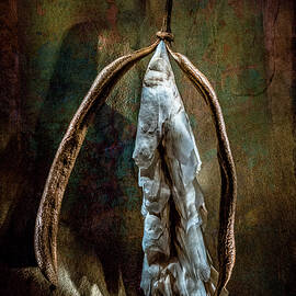 Hong Kong Orchid Seed Pod 1 by Lou Novick