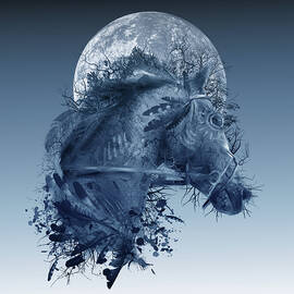 horse 2 by Bekim M
