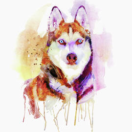 Majestic Husky Portrait - Watercolor Siberian Dog by Marian Voicu by Marian Voicu