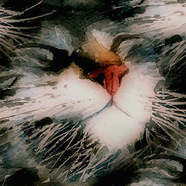 I Can't Make You Love Me by Paul Lovering