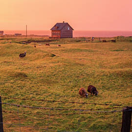 Icelandic Farm during Sunset by Brad Scott