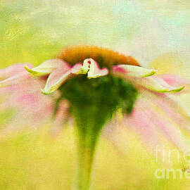 In Perfect Harmony by Lois Bryan