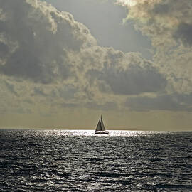 In the spotlight. Sailboat sailing in Naples Fl