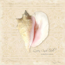Inspired Coast I  - Queen Conch Shell Loratus gigas by Audrey Jeanne Roberts