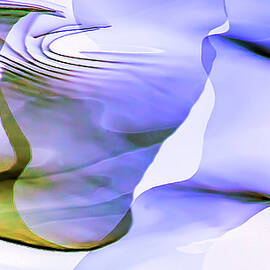 Inverted Reflection Abstract 412 by Craig Royal