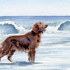 Irish Setter at the Beach by David Rogers