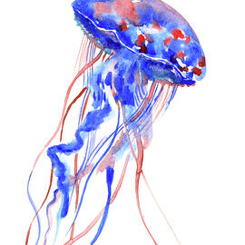 Jellyfish by Suren Nersisyan