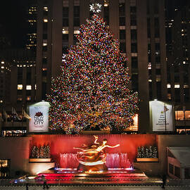 Joy to the World by Evelina Kremsdorf