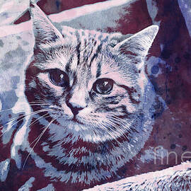Kitty Cat by Jutta Maria Pusl