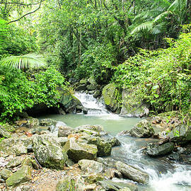 La Mina River through a Tropical Paradise