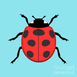 Ladybug by Gaspar Avila
