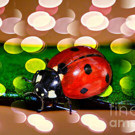 Ladybug in Red by Kasia Bitner