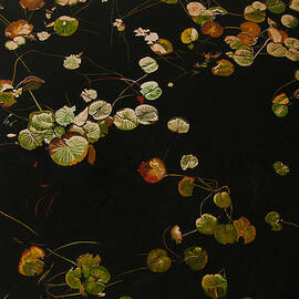 Lake Washington Lily Pad 12 by Thu Nguyen