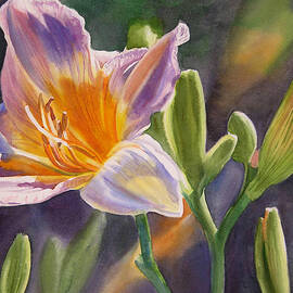 Lavender and Gold Lily by Sharon Freeman