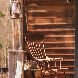 Lazy Afternoon by Lori Deiter