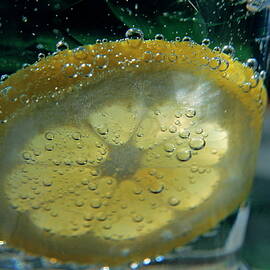 Lemon slice floating in a fizzy drink by Sami Sarkis Photography