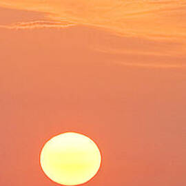Lemon Yellow Sun  part 2 of 3 by Sean Davey