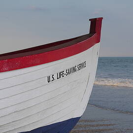 Lifesaver by Richard Reeve