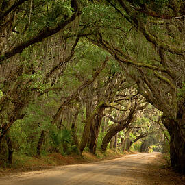 Light at the end of the Tunnel