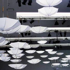Lights Camera Umbrellas II by Natalie Ortiz