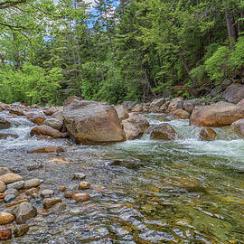 Lincoln Woods Trail 9 by Brian MacLean