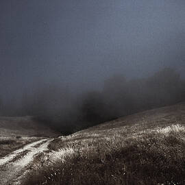 Lost Path - Fog Runs the Hills of Sonoma Coast