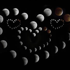Love You to the Moon and Back by Betsy Knapp