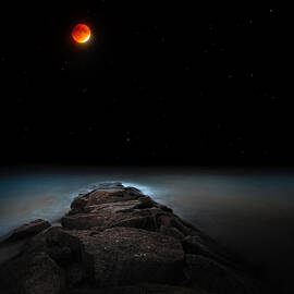 Lunar Eclipse by Bill Wakeley