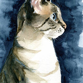 Lynx Point Cat Portrait