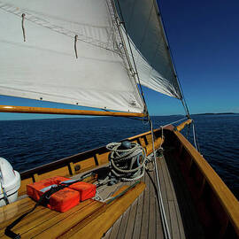 Maine Day Sail by Steve Brown
