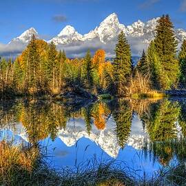 Majestic Morning by Michael Morse